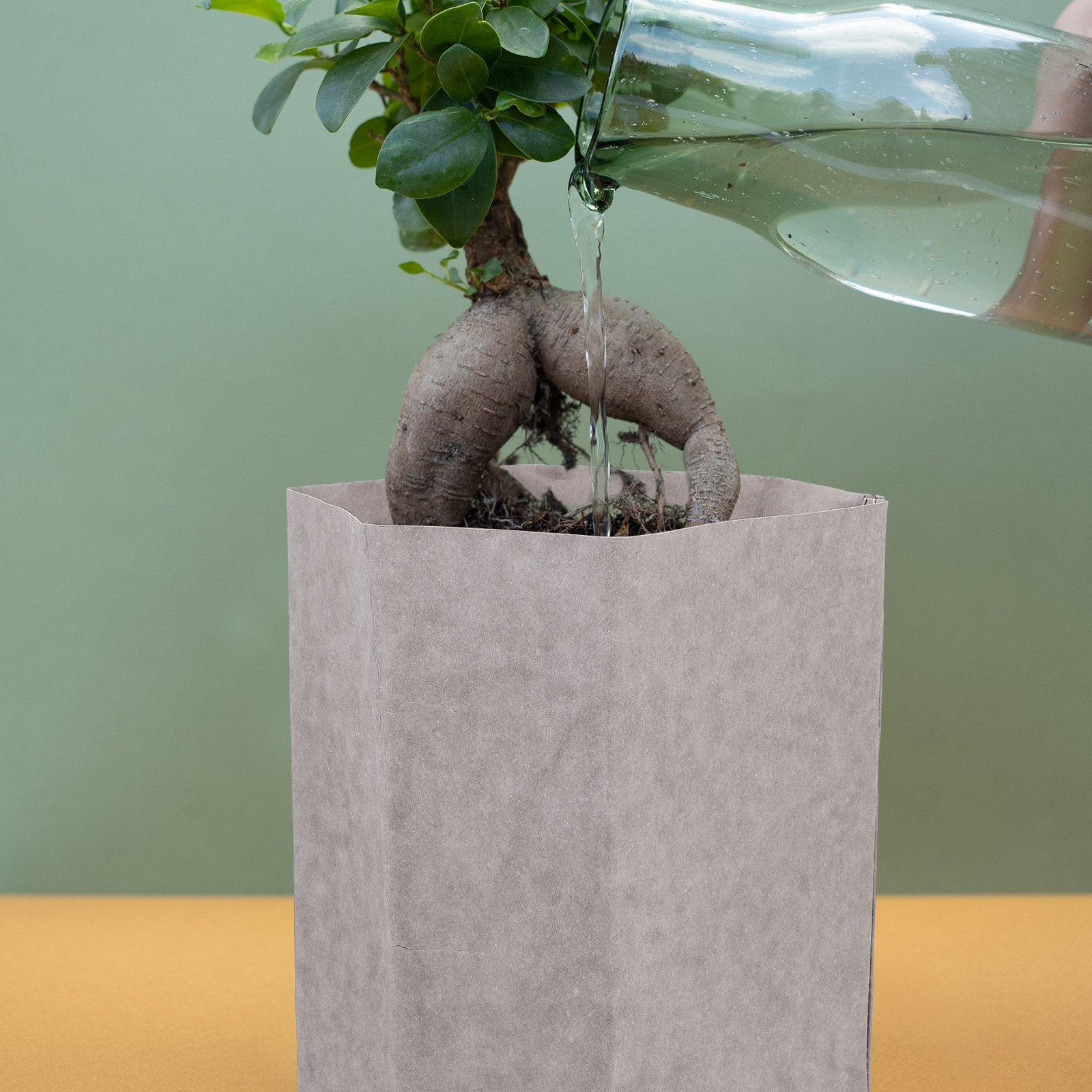 ถุงกระดาษคราฟท์ซักได้ ทนทาน ใช - Food Storage Drawing บทวิจารณ์และราคา